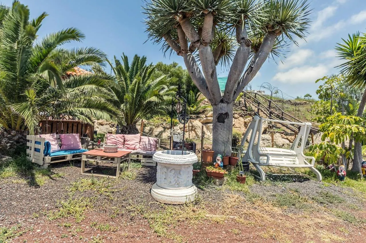 Buhardilla Armonia Rural Apartment Granadilla De Abona 0*,